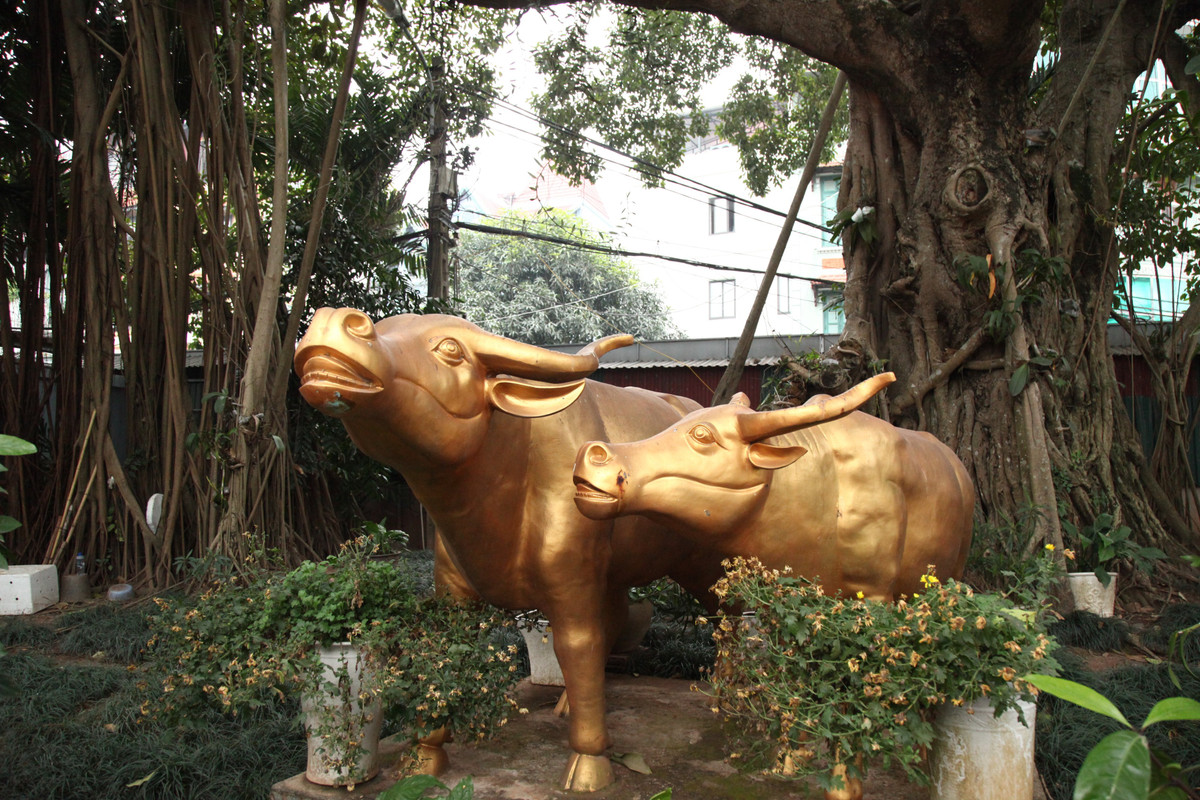 Bat mi ve Than Trau vang phu Tay Ho-Hinh-3