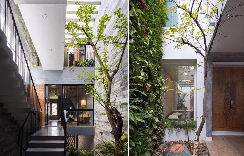 Khi cây chết khô, hãy nhanh chóng chặt bỏ đi. Nếu cây to và chưa thể chặt ngay, gia chủ nên thắp một ngọn đèn hoặc treo bức tranh nhiều màu đỏ (thuộc Hỏa) trước cửa.