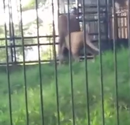 Thanh nien lieu minh vay tay su tu va cai ket dang-Hinh-3