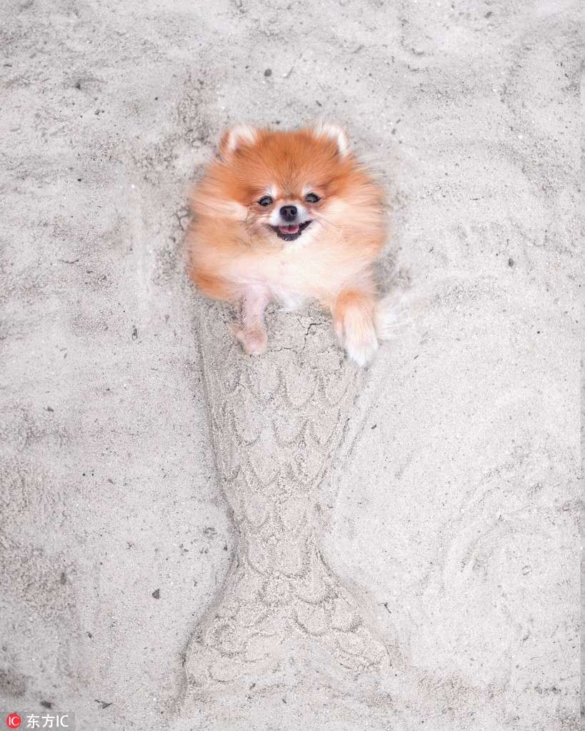 Nụ cười ấm áp và tươi tắn của cô chó cưng trở lại thường xuyên, sưởi ấm trái tim mọi người, truyền cảm hứng và chữa lành tâm hồn cho họ.