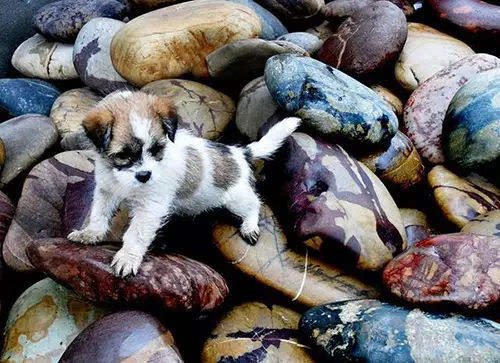 Chuyen la hom nay: Lang luoi, dan chi nhat da mua xe, mua nha...-Hinh-4