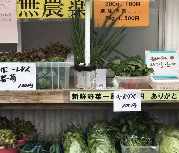 Một cửa hàng bán rau tự giác, không có người trông coi. Bạn sẽ tự chọn sản phẩm cần thiết rồi bỏ tiền vào cái hộp.