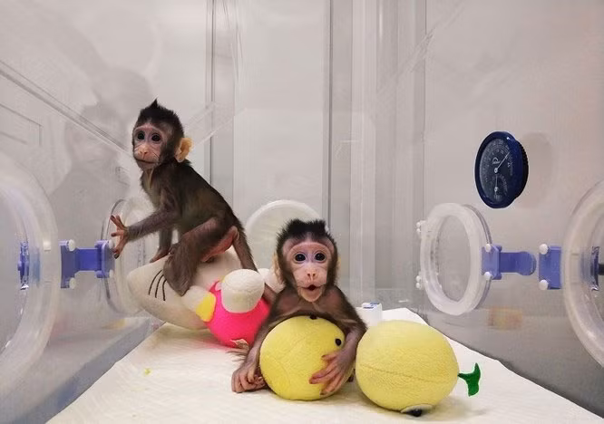 Nhung kham pha khoa hoc co the thay doi the gioi tuong lai-Hinh-4