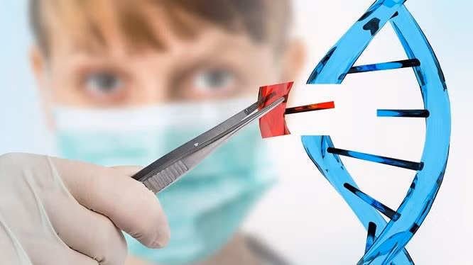 Nhung kham pha khoa hoc co the thay doi the gioi tuong lai-Hinh-3