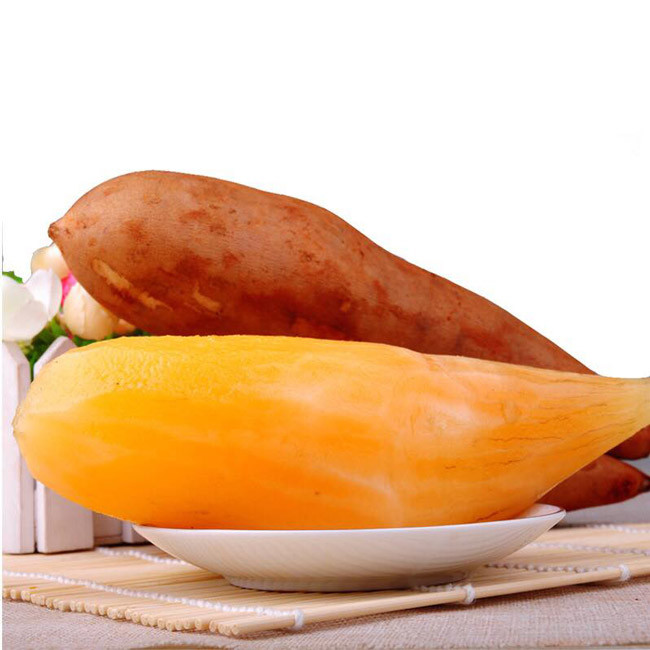 Shin Cô, Sâm khoai, Địa tàng thiên, Tuyết liên quả là tên gọi của loài sâm này. Chúng có tác dụng giải khát, thanh lọc cơ thể và nhuận tràng.