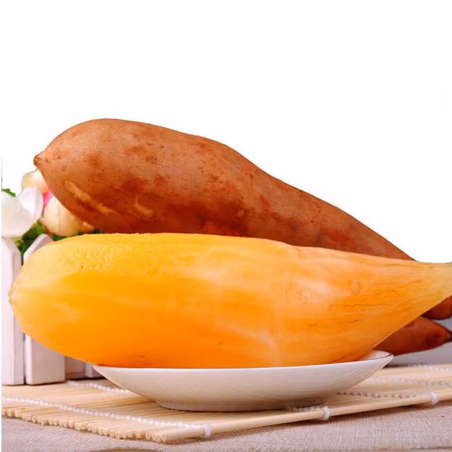 Shin Cô, Sâm khoai, Địa tàng thiên, Tuyết liên quả là tên gọi của loài sâm này. Chúng có tác dụng giải khát, thanh lọc cơ thể và nhuận tràng.