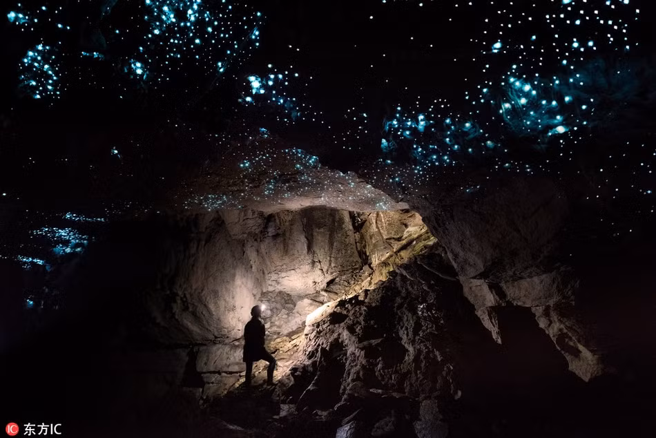 Choáng váng đom đóm đồng loạt nháy, tạo thiên hà trong lòng hang - Hình 3 Choang vang dom dom dong loat nhay, tao thien ha trong long hang-Hinh-3