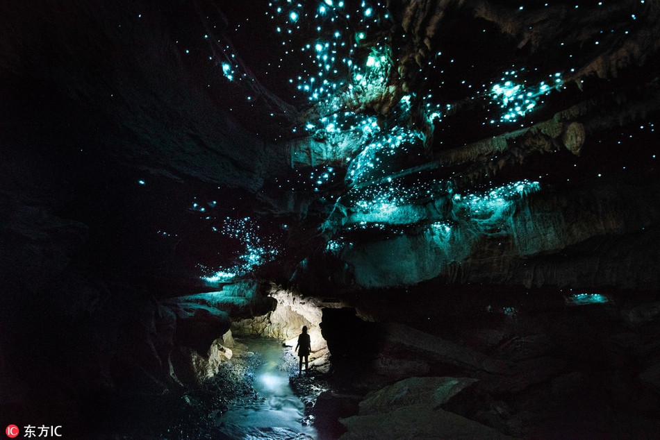Choáng váng đom đóm đồng loạt nháy, tạo thiên hà trong lòng hang Choang vang dom dom dong loat nhay, tao thien ha trong long hang