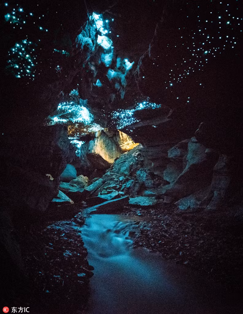 Choáng váng đom đóm đồng loạt nháy, tạo thiên hà trong lòng hang - Hình 2 Choang vang dom dom dong loat nhay, tao thien ha trong long hang-Hinh-2