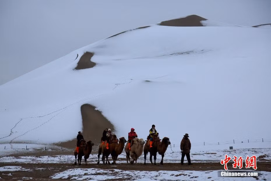Chuyen kho tin co that: Ky thu tuyet roi tren sa mac-Hinh-2