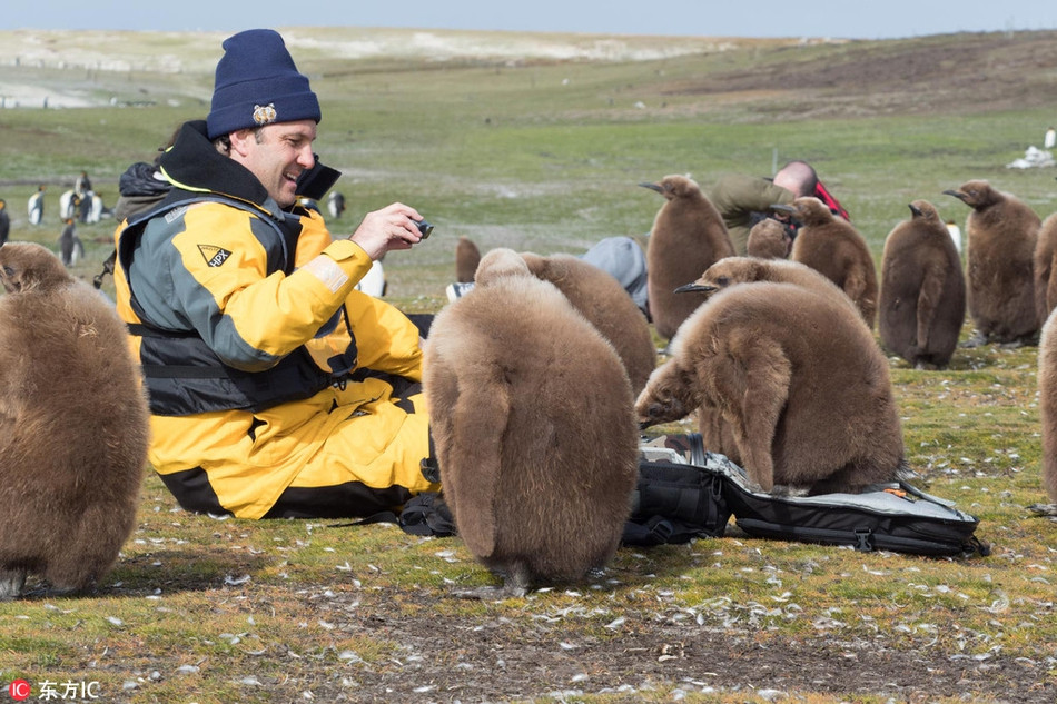 Chim canh cut hoang de sieu to mo khien nguoi me tit-Hinh-4