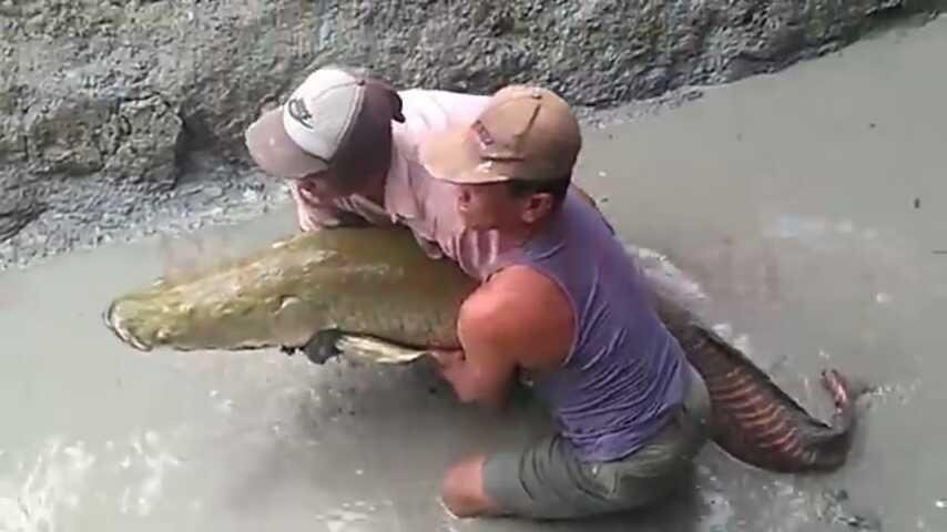 Nghe tieng on trong muong, tat can bat duoc thu bang hoang-Hinh-3