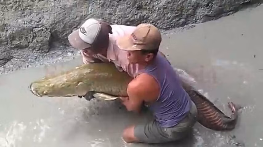 Nghe tieng on trong muong, tat can bat duoc thu bang hoang-Hinh-3