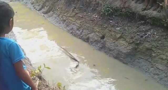 Nghe tieng on trong muong, tat can bat duoc thu bang hoang-Hinh-2