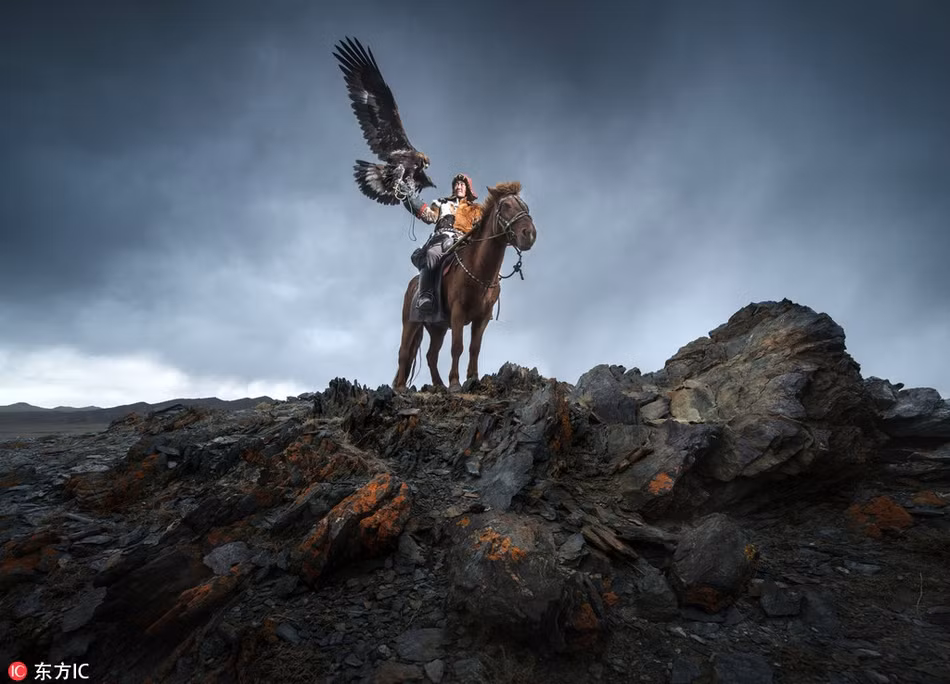 Theo truyền thống, những thợ săn sẽ cưỡi ngựa và sử dụng chim đại bàng khổng lồ đã được thuần hóa để săn các loài thú trên thảo nguyên như thỏ, sói.