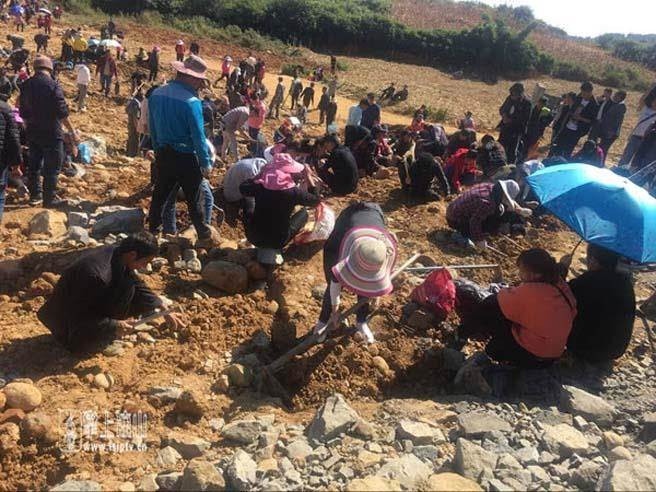 Dan do xo dao hon da la lung, hi ha hi hung de roi...