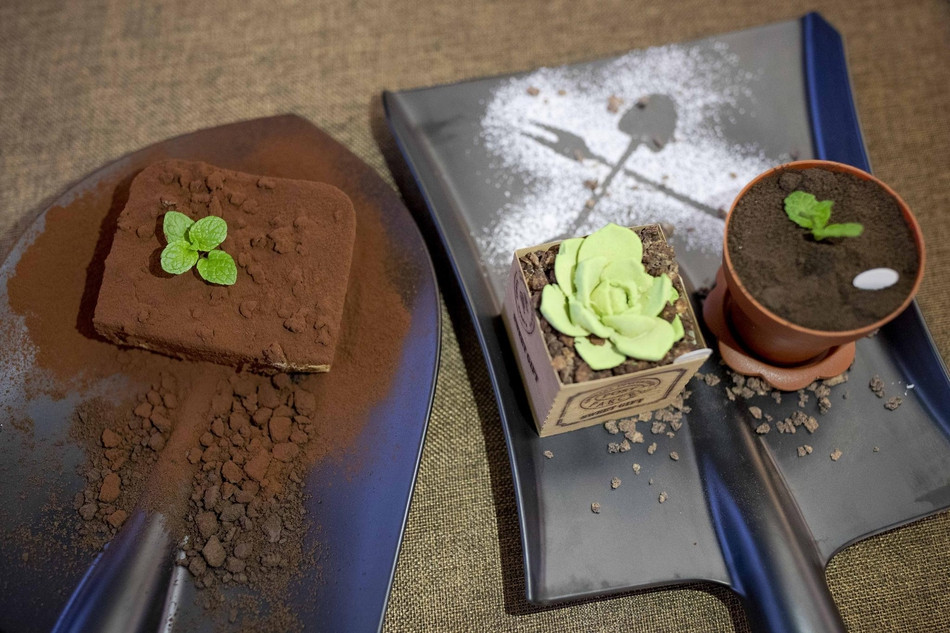 Tuong phai an dat, anh da den vo oa voi su thuc choang...