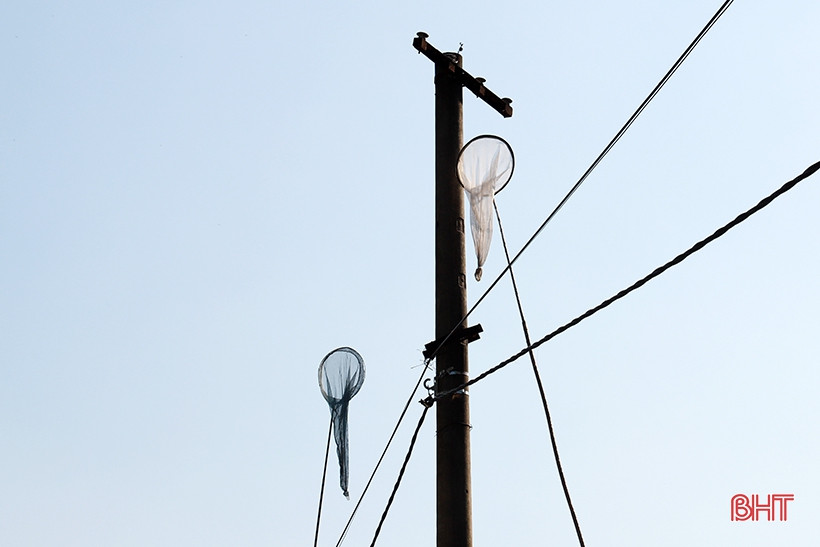 Dan san nha nghe doi mat tim bat ong o nguoc ngan Huong Son-Hinh-6