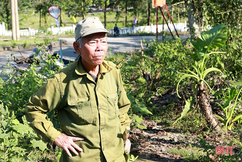 Dan san nha nghe doi mat tim bat ong o nguoc ngan Huong Son-Hinh-4