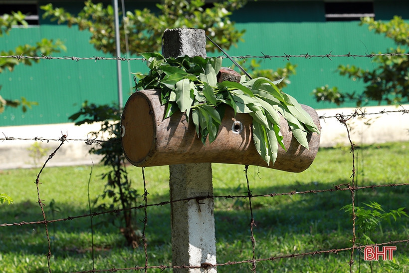 Dan san nha nghe doi mat tim bat ong o nguoc ngan Huong Son-Hinh-9
