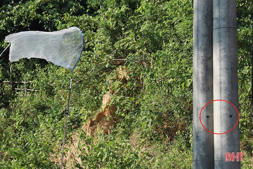 Dan san nha nghe doi mat tim bat ong o nguoc ngan Huong Son-Hinh-8