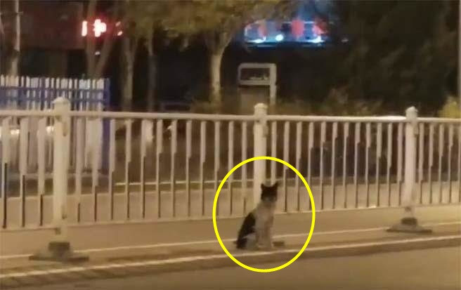 Chu nhan qua doi, cho cung doi mon moi 80 ngay den xot xa