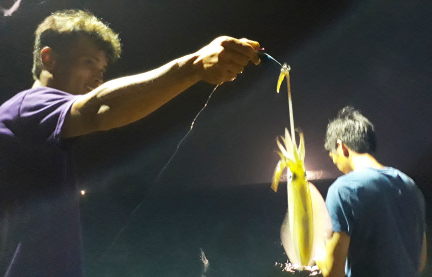 Bat den cau muc dem bang moi gia tren bien Quan Lan-Hinh-3