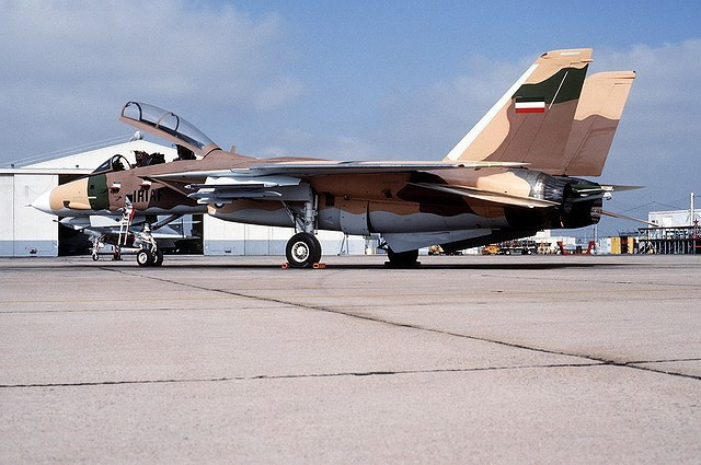 Vũ khí chính của Tomcat là 6 tên lửa AIM 54 Phoenix tầm bắn tới 190 km. Nó là tên lửa không đối không có tầm bắn xa nhất của Mỹ.