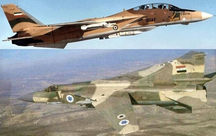 F-14 Tomcat do Mỹ sản xuất còn có biệt danh "Mèo đực". Đây được coi là loại máy bay tiêm kích cánh cụp cánh xòe mạnh nhất thế giới.