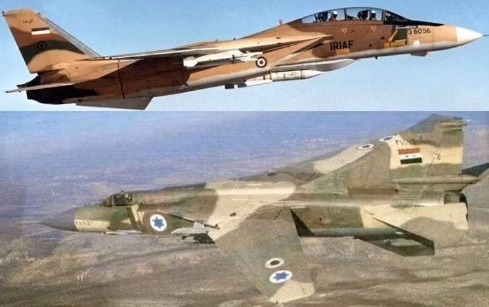 F-14 Tomcat do Mỹ sản xuất còn có biệt danh "Mèo đực". Đây được coi là loại máy bay tiêm kích cánh cụp cánh xòe mạnh nhất thế giới.