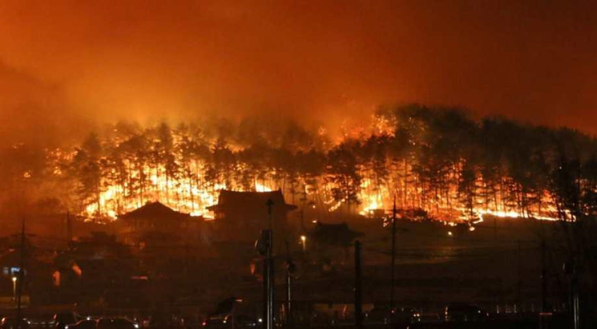 Lửa cháy sáng rực đường chân trời khi nhìn sang thành phố Donghae, tỉnh Gangwon. Ảnh: Reuters.