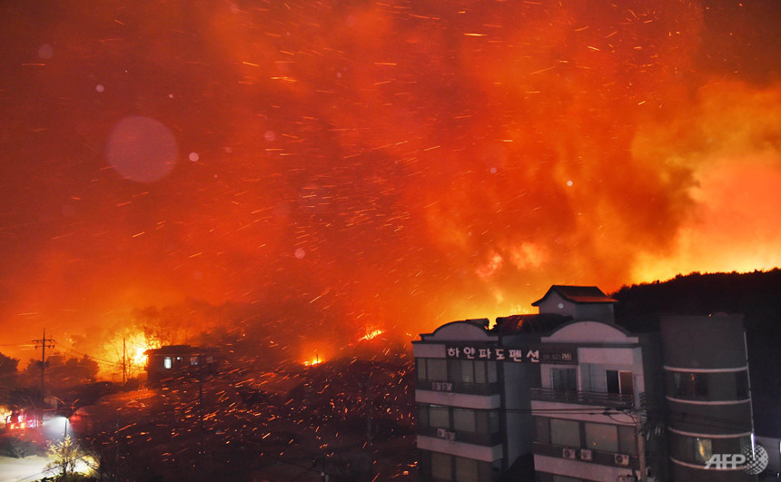 Bức ảnh ngày 4/4 cho thấy đám cháy khổng lồ ở thị trấn Goseong. Theo hãng tin AFP, các đám cháy đã làm 1 người chết, 35 người bị thương. Ảnh: AFP.