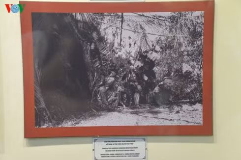 Rom chong dan, sang tao khong ngo cua chien si Dien Bien-Hinh-7