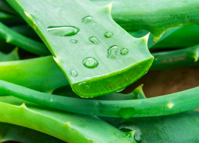 So huu mai toc den bong muot that don gian voi 5 loai thao moc-Hinh-3