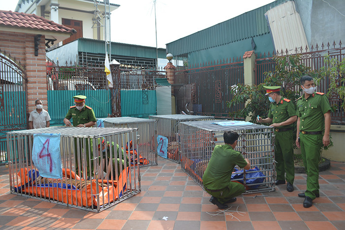 8/17 con ho da chet sau thu giu o Nghe An: Trach nhiem cua ai?-Hinh-3