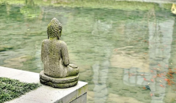 Song tren doi: 30 tuoi no luc lam giau, 50 tuoi hoc buong bo-Hinh-2