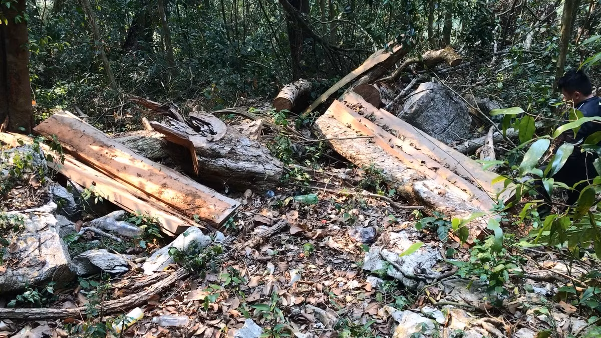 Lam tac pha rung Chieng Khua: Kiem lam Moc Chau do loi trach nhiem-Hinh-2