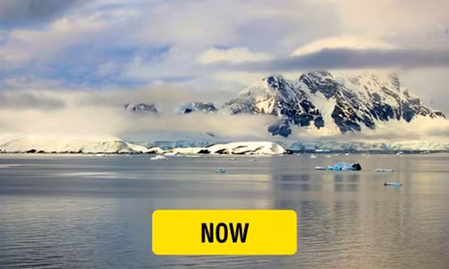 Phát hiện đáng chú ý này khiến các chuyên gia đưa ra giả thuyết hơn 50 triệu năm về trước tại Nam Cực đã từng ghi nhận sự tồn tại của những cây cọ và những bãi biển cát trắng nắng vàng.