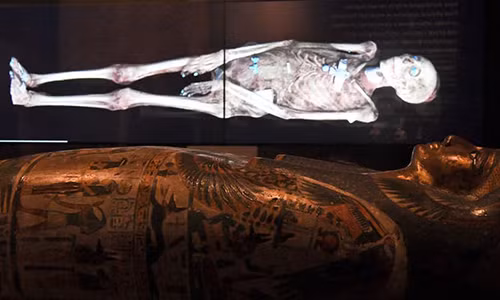 Vào tháng 8/2017, các chuyên gia công bố phát hiện bộ xương đàn ông tìm thấy năm 1901 trong một ngôi mộ gần Beit Khallaf, Ai Cập, với chiều cao lên tới 1,987 mét, có thể thuộc về pharaoh Sa-Nakht ở Vương triều thứ ba vào khoảng năm 2700 TCN. Theo đó, pharaoh Ai Cập cổ đại này có thể là "người khổng lồ" cổ xưa nhất nhân loại.