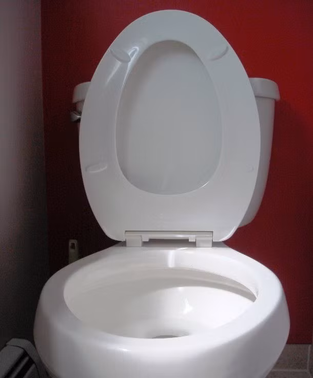 Kevin Shelley (người Mỹ) nắm giữ kỷ lục thế giới làm vỡ 46 nắp đậy toilet bằng đầu trong vòng 1 phút. Kỷ lục thế giới kỳ quặc này được Shelley được xác lập trong một chương trình ở Cologne, Đức ngày 1/9/2007.