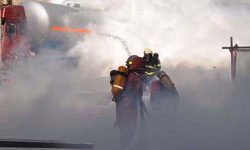 Vụ việc này cũng khiến chó, chim và ếch chết hàng loạt. Cây cỏ khô héo và chuyển sang màu vàng úa. Ảnh: Xinhua.