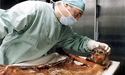 Không dừng lại ở đó, Helmut Simon, 69 tuổi, là một trong 2 nhà leo núi đã tìm thấy xác ướp tử vong sau khi bị ngã thác. Tiếp theo là Dieter Warnecke, 45 tuổi, người đứng đầu đội cứu hộ đã tìm kiếm cơ thể của ông Simon, cũng qua đời vì đau tim ngay sau khi tham dự tang lễ của nhà leo núi này.