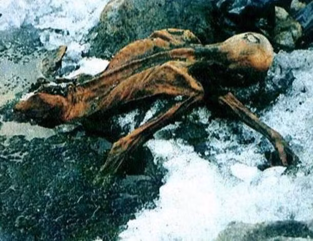 Người thứ 6 là Konrad Spindler, 66 tuổi, thuộc nhóm nhà khoa học đã kiểm tra xác ướp Otzi tại Innsbruck, Áo và người cuối cùng là ông Tom Loy, 63 tuổi, nhà khảo cổ học phân tử có nghiên cứu về quần áo và vũ khí của Otzi.