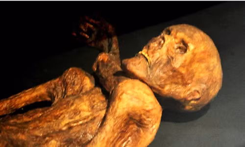 Đầu tiên là nhà nghiên cứu bệnh học pháp y ĐH Innsbruck, ông Rainer Henn, 64 tuổi. Ông qua đời trong một tai nạn xe hơi khi đang trên đường đến một cuộc họp nói về công trình nghiên cứu của mình.