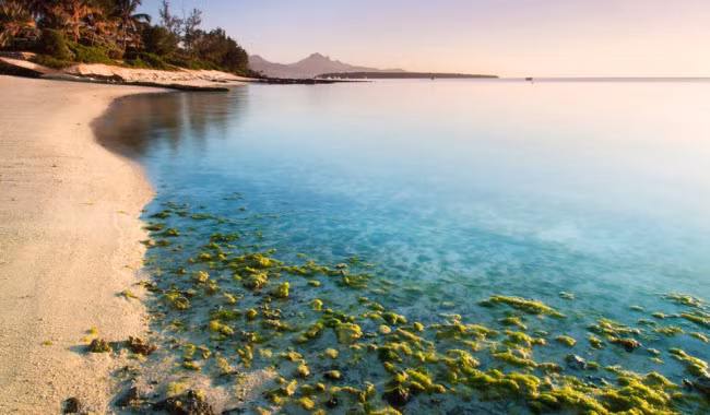 Đảo quốc này nổi tiếng với nước biển trong xanh và các khu nghỉ dưỡng sang trọng, nơi du khách thoải mái tham gia các hoạt động dưới nước như lặn ngắm rạn san hô, lướt ván diều, chèo thuyền và ngắm cảnh trên biển. Sự kiện đặc biệt trong năm 2018 tại Mauritius là lễ kỷ niệm 50 năm độc lập.