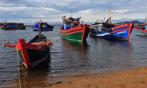 Sông có chiều dài 85 km với hai nhánh chính: sông Long Đại (hay Đại Giang) chảy qua huyện Quảng Ninh và sông Kiến Giang chảy qua huyện Lệ Thủy, gặp nhau ở Trần Xá. Ảnh: Ngo Minh Truc.