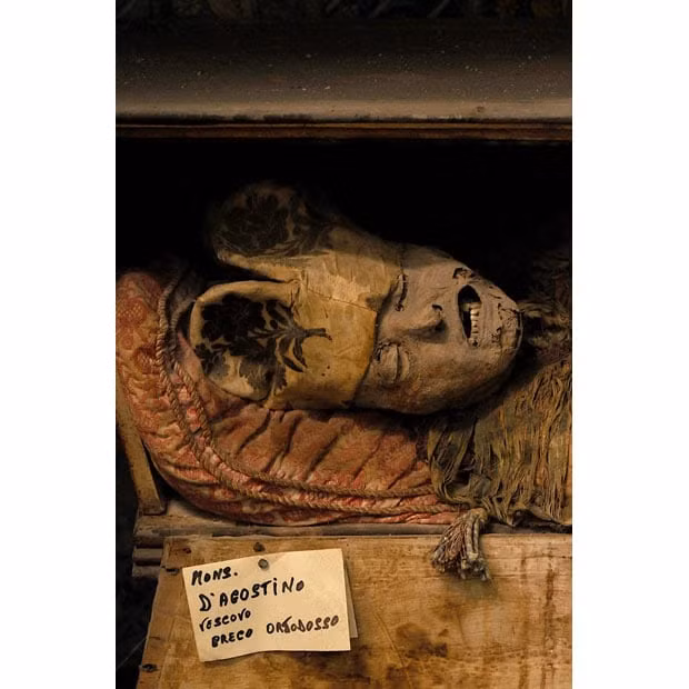 Việc bố trí, sắp xếp xác ướp được làm một cách khoa học với từng khu riêng biệt dành cho nam giới, phụ nữ, linh mục, trinh nữ, trẻ con và người lớn...