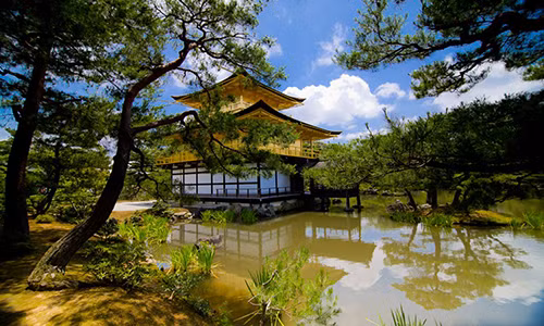 Chùa Vàng (Golden Pavillion) hay còn được gọi là chùa Kinkakuji được xây dựng từ thế kỷ 14 là một trong những công trình kiến trúc nổi tiếng nhất ở Kyoto, Nhật Bản. Công trình này được dát vàng lá nên vô cùng nổi bật giữa khung cảnh núi rừng.