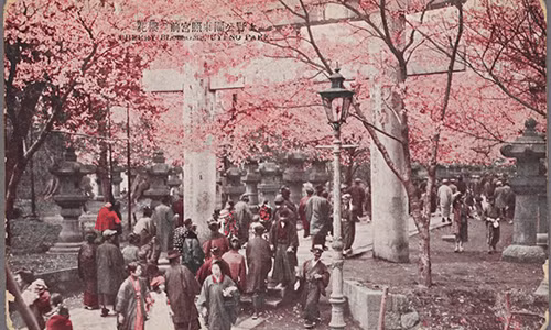 Công viên Uyeno ở thành phố Tokyo, Nhật Bản vào khoảng năm 1924 - 1940. Rất nhiều người dân Nhật Bản đến công viên này để ngắm vẻ đẹp của hoa anh đào khi chúng nở rộ.