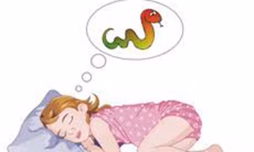 Giai ma y nghia nhung con ac mong con nguoi thuong gap